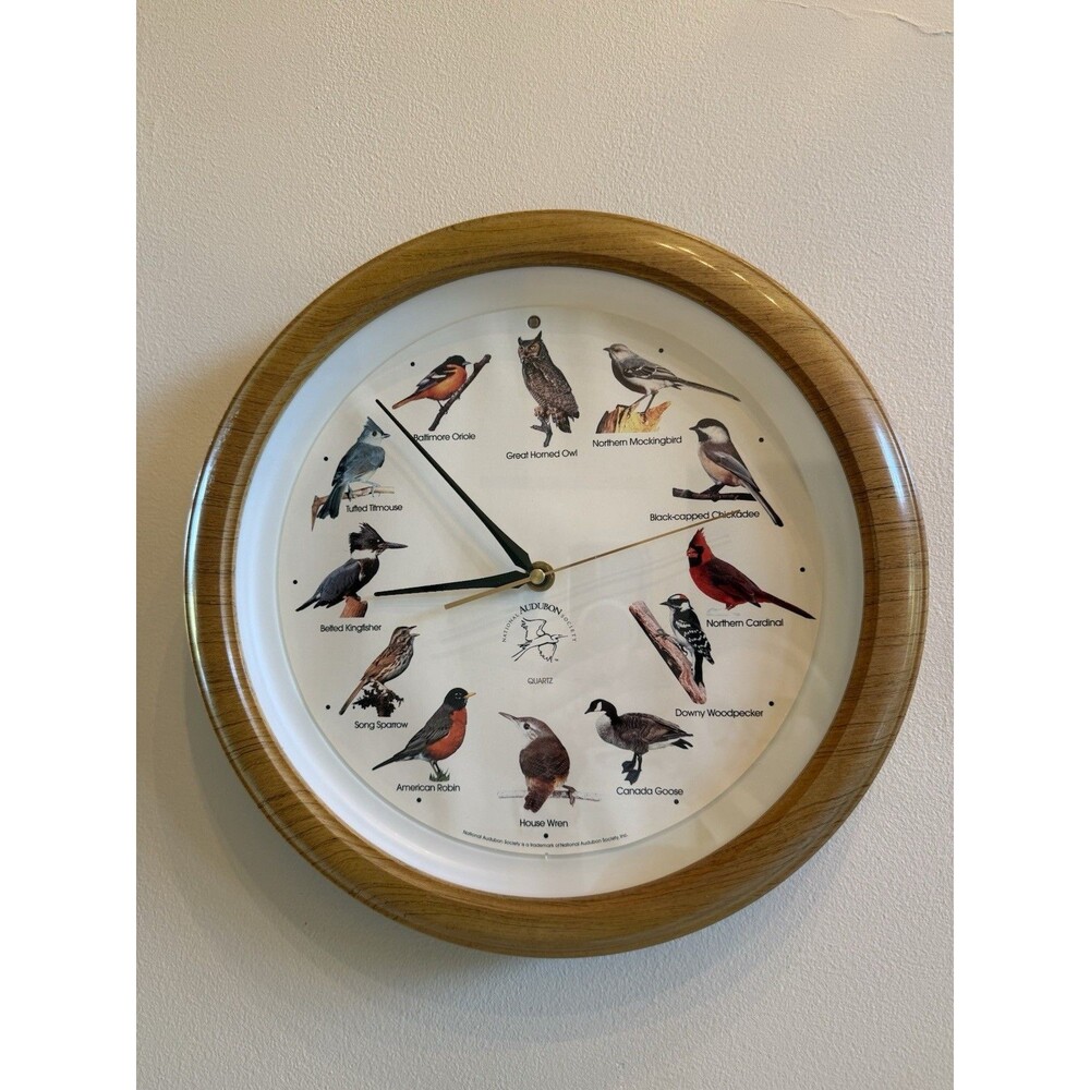 VINTAGE National Audubon Society Singing Bird Clock 13" Oak Colored Frame TESTED